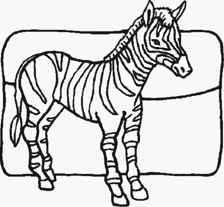 Zebra Coloring Pages 8